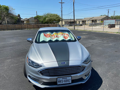 Yo! Hot Wheelz Car Windshield Shade